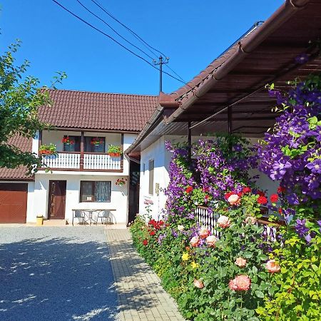 ソバタCasa Sallaiアパートメント エクステリア 写真